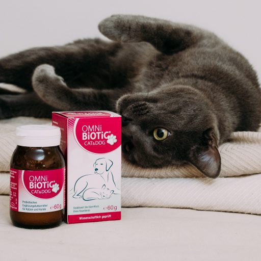 OMNi-BiOTiC_CAT_DOG_20220422_Shooting_OB_Cat&Dog_044 (1)